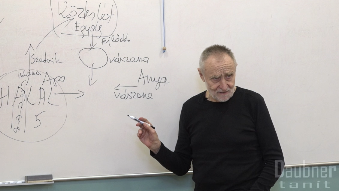 Emberlét 7. modul